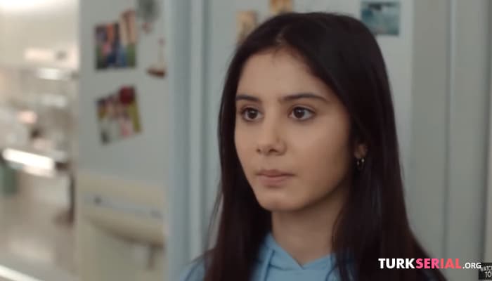 сериал Новый Турецкий Сериал Бумажный Дом: Актеры, сюжет и другие подробности