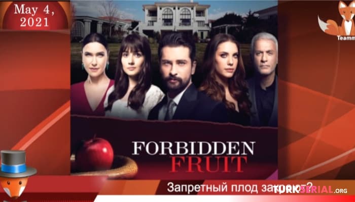 сериал Новый сезон сериала Запретный плод, самые обсуждаемые сериальные пары: Последние новости