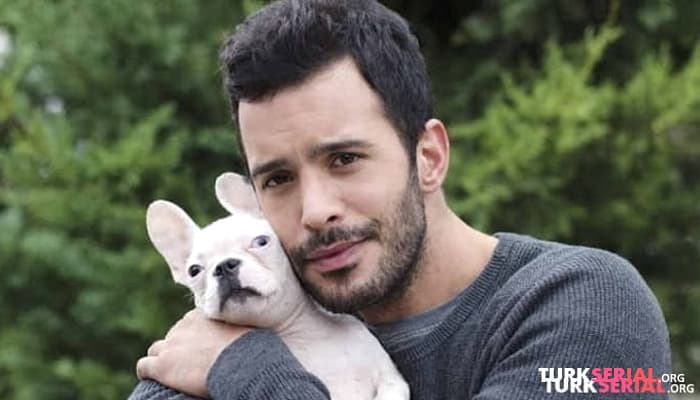 сериал Топ 5 Лучших Турецких Сериалов с Барышем Ардучем
