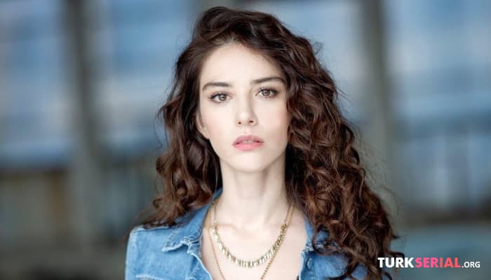 сериал Новый проект Озге Гюрель, кто станет партнером?
