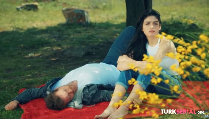 сериал Топ 5 Турецких Сериалов на Русском Языке Которые Вы точно Пропустили