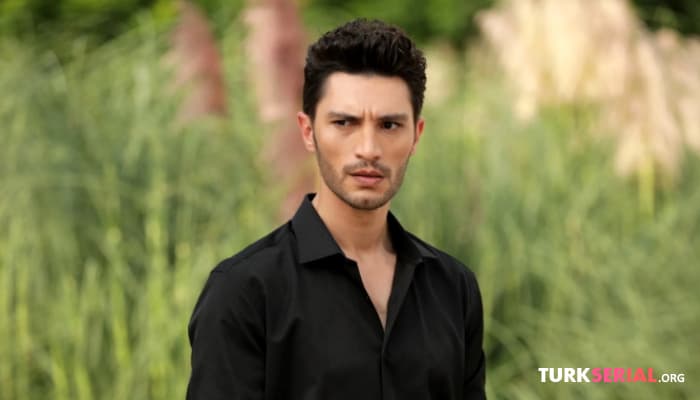 сериал Актер Ильхан Шен ушел из сериала о султане Салах ад-Дине