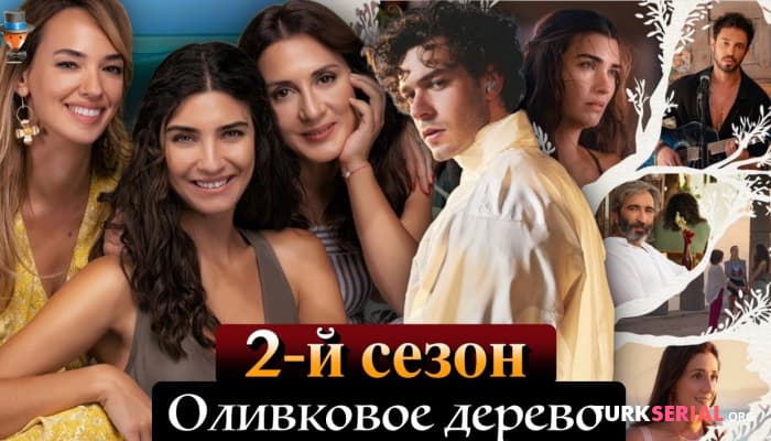 сериал Айтач Шашмаз в турецком сериале Нетфликс Оливковое дерево