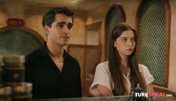 сериал Сериал Зм сняли с эфира, Джан Яман не захотел встретиться с Демет Оздемир: Последние новости