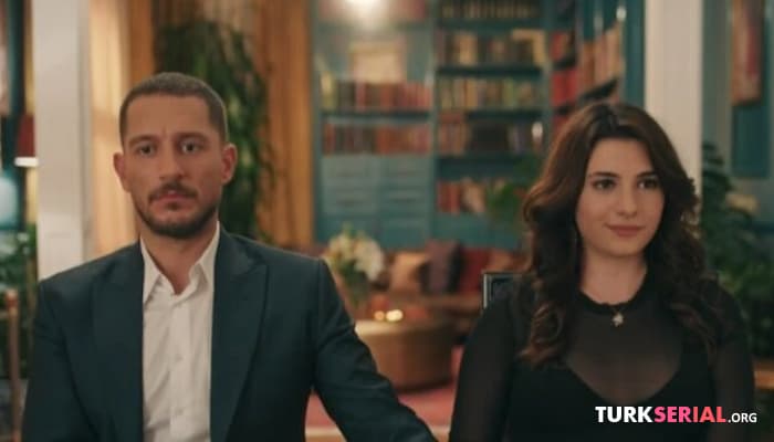 сериал Жалоба на турецкий сериал Спрячь меня, что будет с проектом? рейтинги зимородка вновь упали