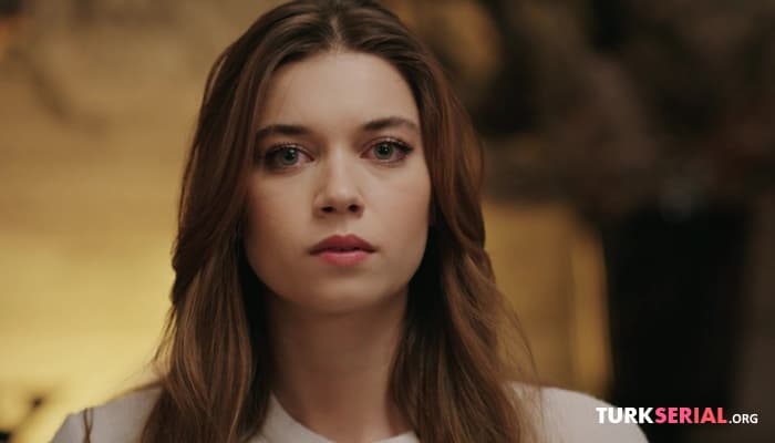 сериал Рейтинги Зимородка на ВЫСОТЕ: Самые интересные серии впереди